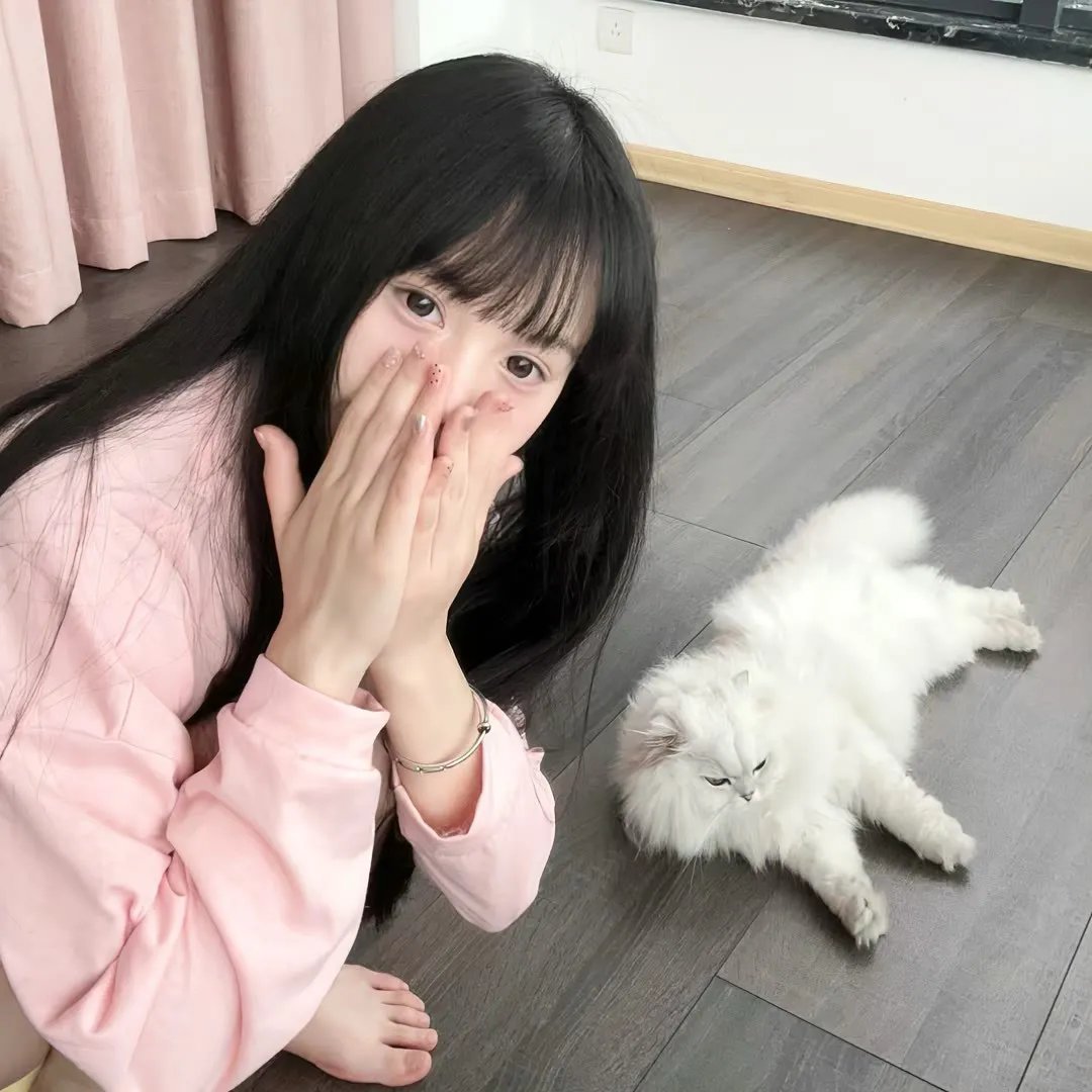 盾之勇者成名录第一季